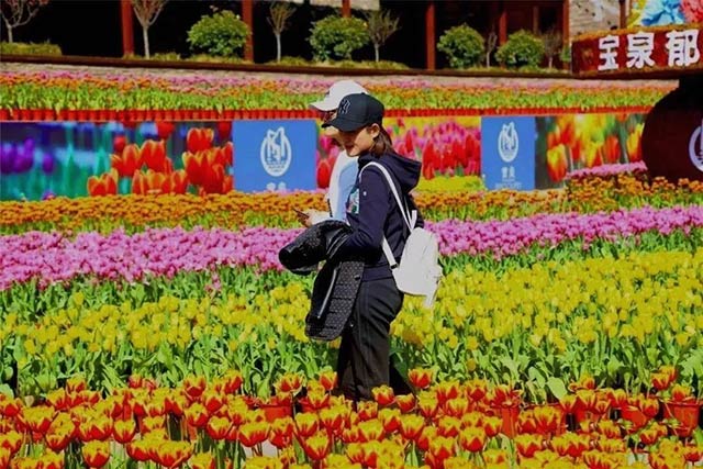 欧陆娱乐铝业铝板厂家组织员工宝泉游玩